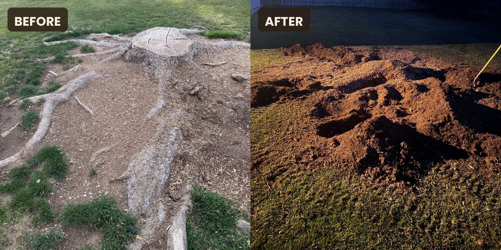 Before and after: large stump with surface roots in a lawn, then the area ground out at dusk