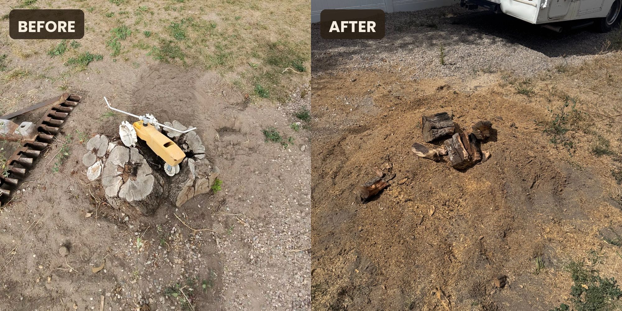 Before and after: old multi-trunk stump in a dry yard, then the same spot ground out flat